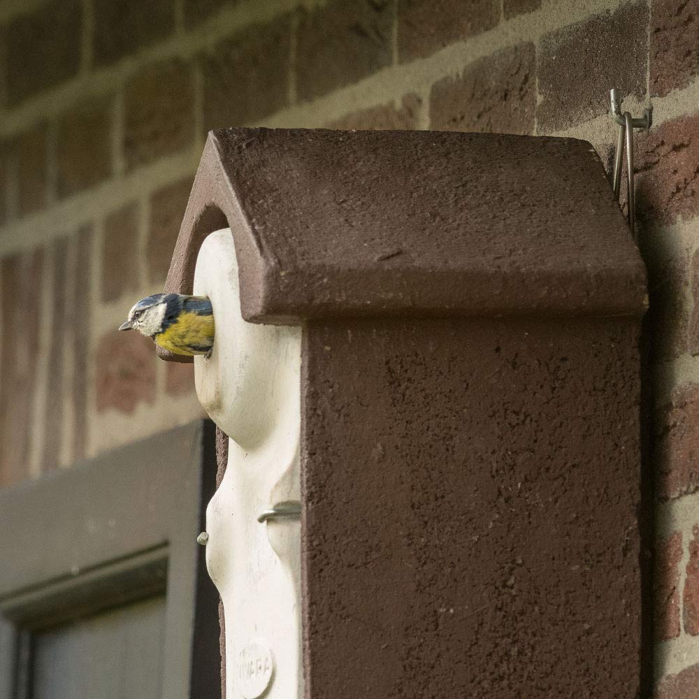 CJ Wildlife Nistkasten – Vogelnistkasten für Meisen mit Marderschutz – Woodstone Holzbeton Braun – Einflugöffnung 28 mm – Langlebig, wetterfest für draußen