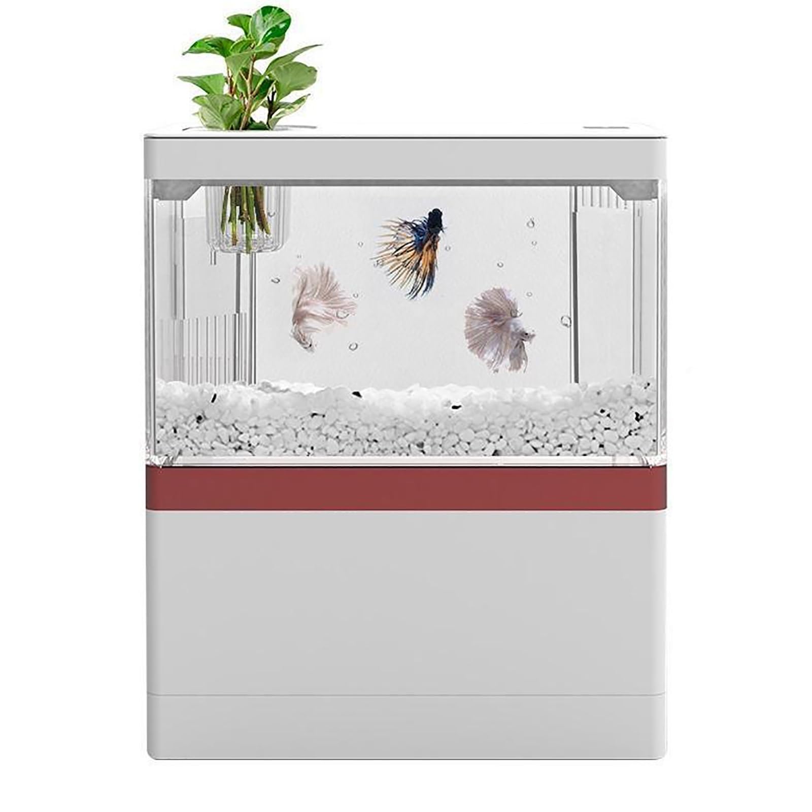Mini Acuario de sobremesa, pecera con filtración e iluminación LED