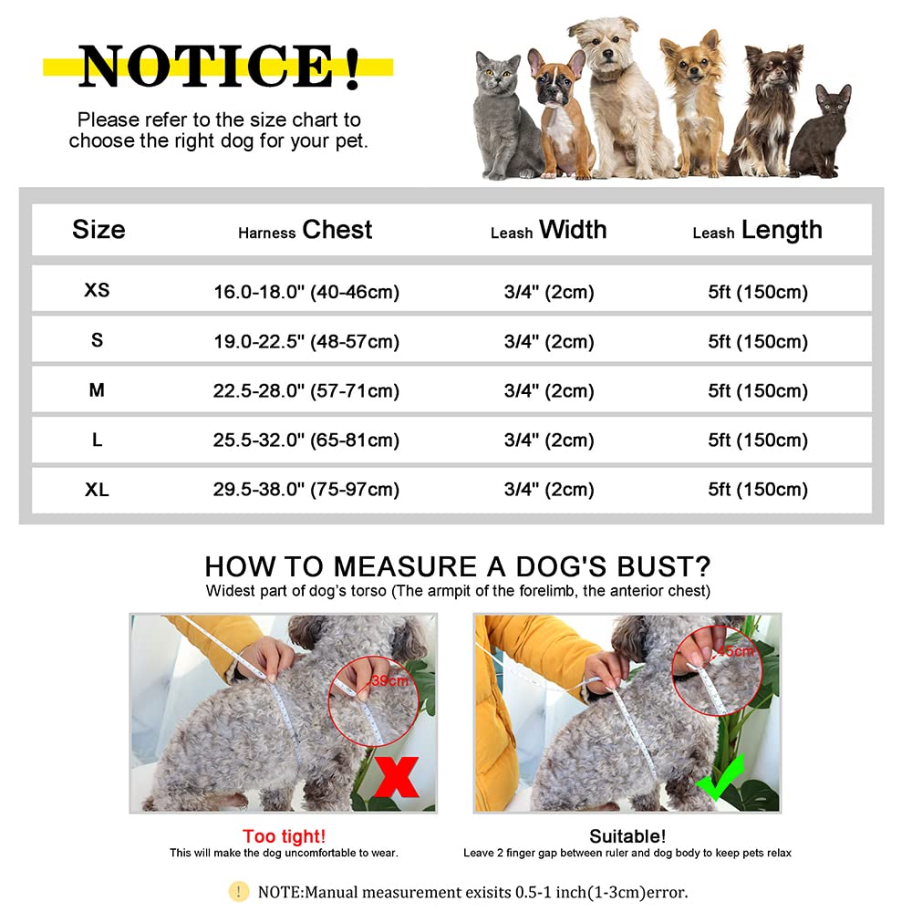 Personalisiertes Hundegeschirr, Leine, weich, gepolstert, Hundeweste, Geschirre, kostenlose individuelle Haustier-ID, Schnallenwesten mit Bleiseil für Hunde, Mops