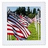 3dRose USA, Washington, Aberdeen. A Display of 400 American Flags in a Field. 12x12 inch Quilt Square #1