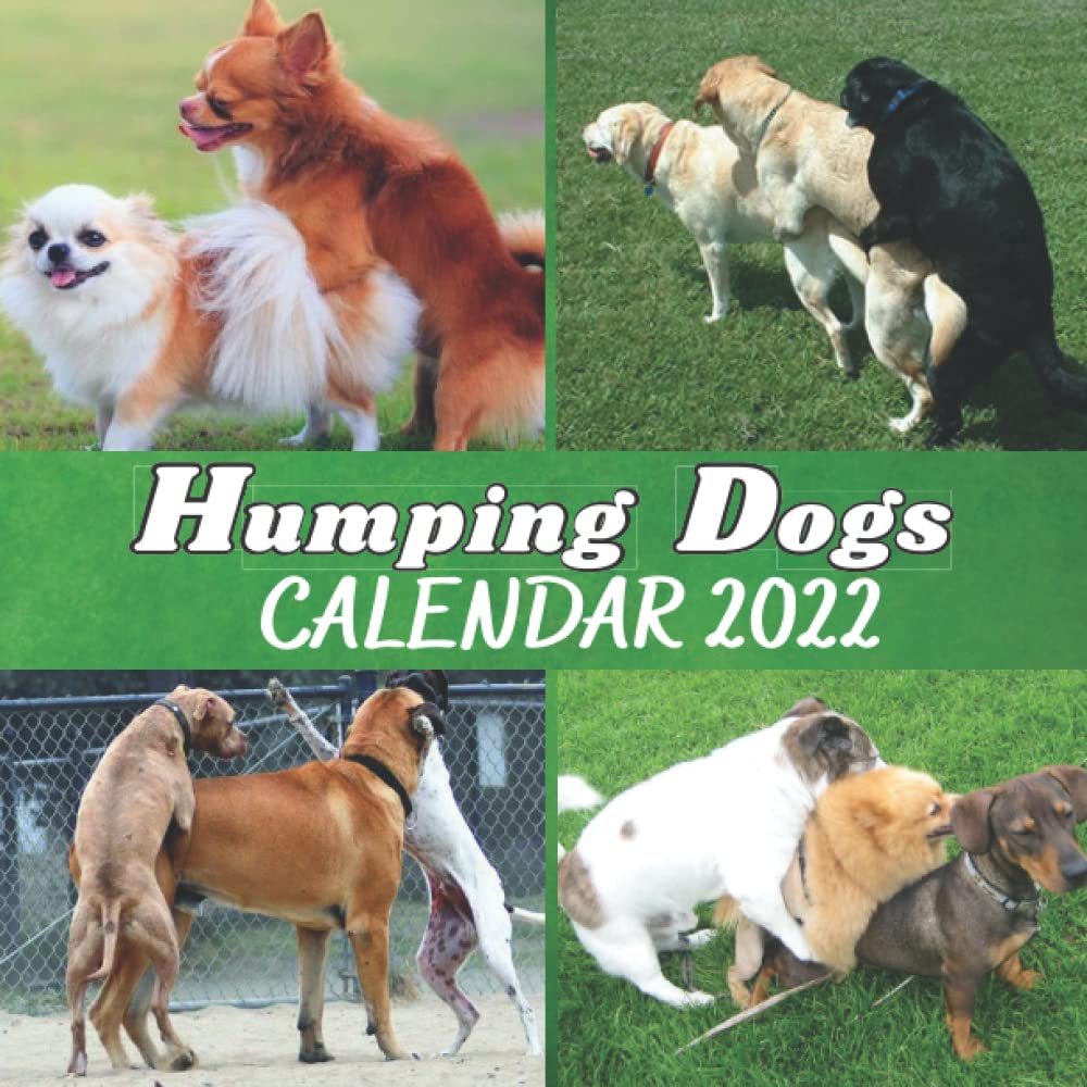 Buy Humping Dogs Calendar 2022 2022 Humping Dogs Calendar for Dog