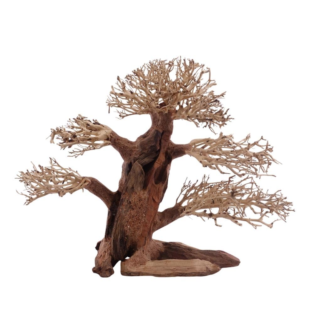 AquaOne Aquarium Classic Bonsai Baum XL Wurzel Oriental Holz 40x15x30 cm I Aquascaping Dekoration I Natur Unikat Bonsaibaum I Landschaft Deko Unterwasserlandschaft
