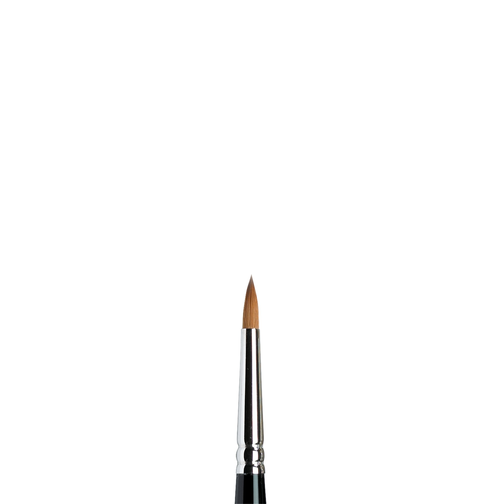 Amazon | Winsor & Newton ウィンザー&ニュートン 水彩用筆 シリーズ7