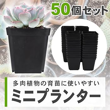 趣味の園芸、プランター、鉢、苗鉢、まとめてセット 趣味の園芸、プランター、鉢、苗鉢、まとめてセット