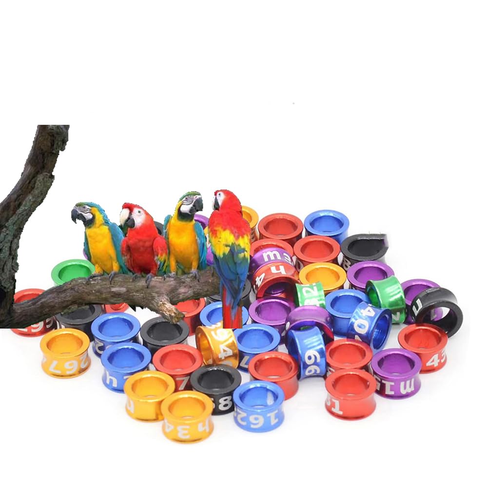 Forniture per piccioni Anelli per Piedi Piccione Uccelli Martello Maglio per Gamba di quaglia Strumenti Piccione Alluminio Numero Casuale/Colore Anello per Coscia 200pz Mixed colors5.0mm