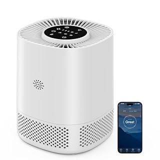 Luftreiniger mit H13 HEPA Filter, Filtert 99,97% des Staubs und Partikel bis zu Einer Größe von 0,3 Mikrometern, Schlafmodus (20 dB) und Automodus, Drei Geschwindigkeiten für den Heimgebrauch - Amazon product rated Grade A