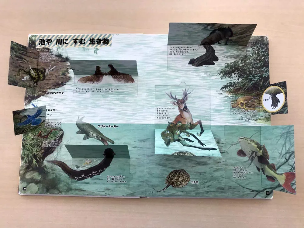 【希少】まどあきしかけ　はっけんずかんプラス　あぶない生き物　図鑑　学研 はっけんずかんプラス : まどあきしかけ あぶない生き物(七宮