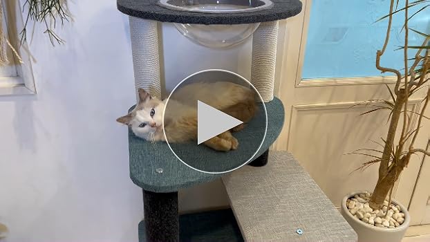 Amazon | ペティオ (Petio) 猫用タワー necoco キャット