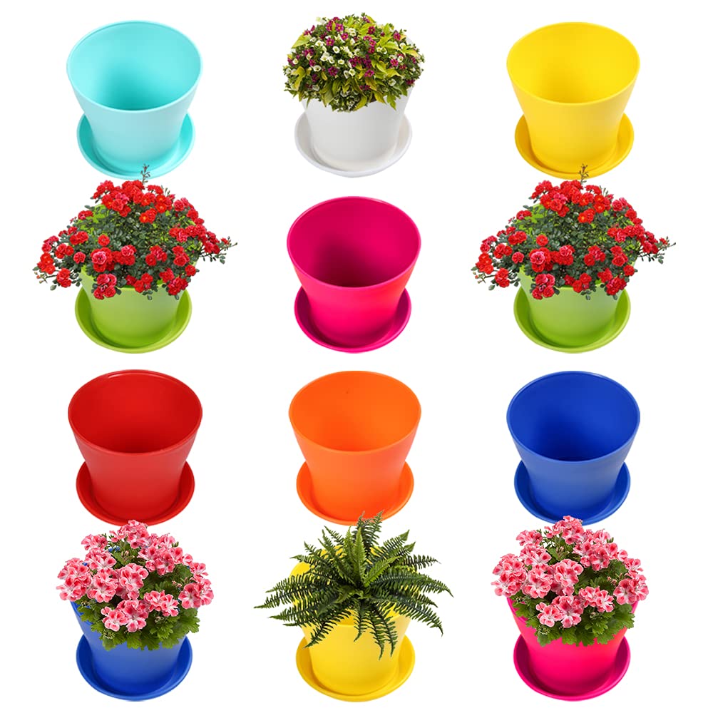 See full amazon price history chart for Kraft Seeds Fleshy Plastic Flower Pots With Bottom Trays (12 Pcs, 6 Inch, Multicolor) Flower Plant Container Seed Starting Pots With Pallet | Pots for Home Gardening | Planters With Draining Plates Kraft Seeds Fleshy Plastic Flower Pots With Bottom Trays (12 Pcs, 6 Inch, Multicolor) Flower Plant Container Seed Starting Pots With Pallet | Pots for Home Gardening | Planters With Draining Plates (B086K9X49V) Amazon Price History, Amazon Price Tracker