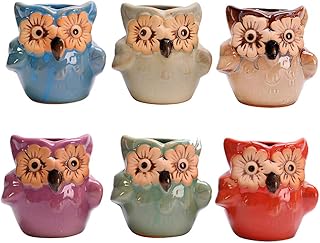 Hemoton Hoog kwaliteit 6 PC Kiln Owl Flower Pot Desenho Animado Carnudo Olho Grande Animal Cerâmica Pequeno Vaso Fresco Decoração de Jardim Doméstico Vasos de Flores Suculentas