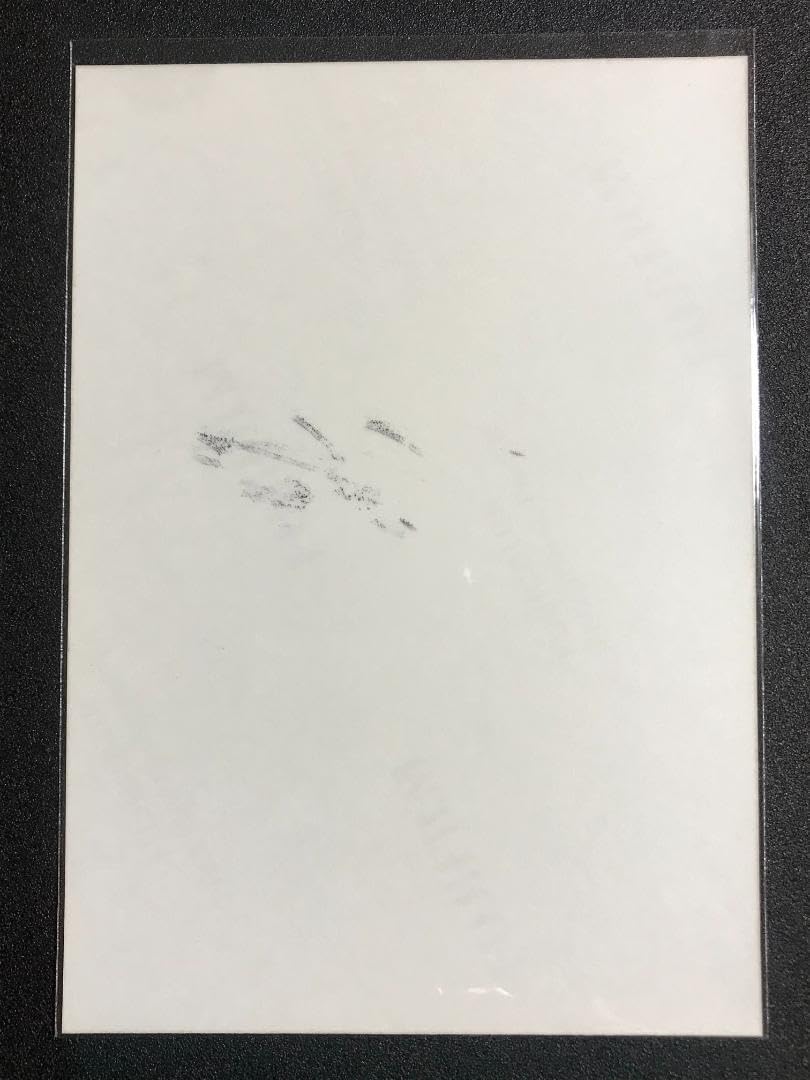 Amazon.co.jp: ☆本物 直筆サイン 白石麻衣 生まれてから初めて見た夢