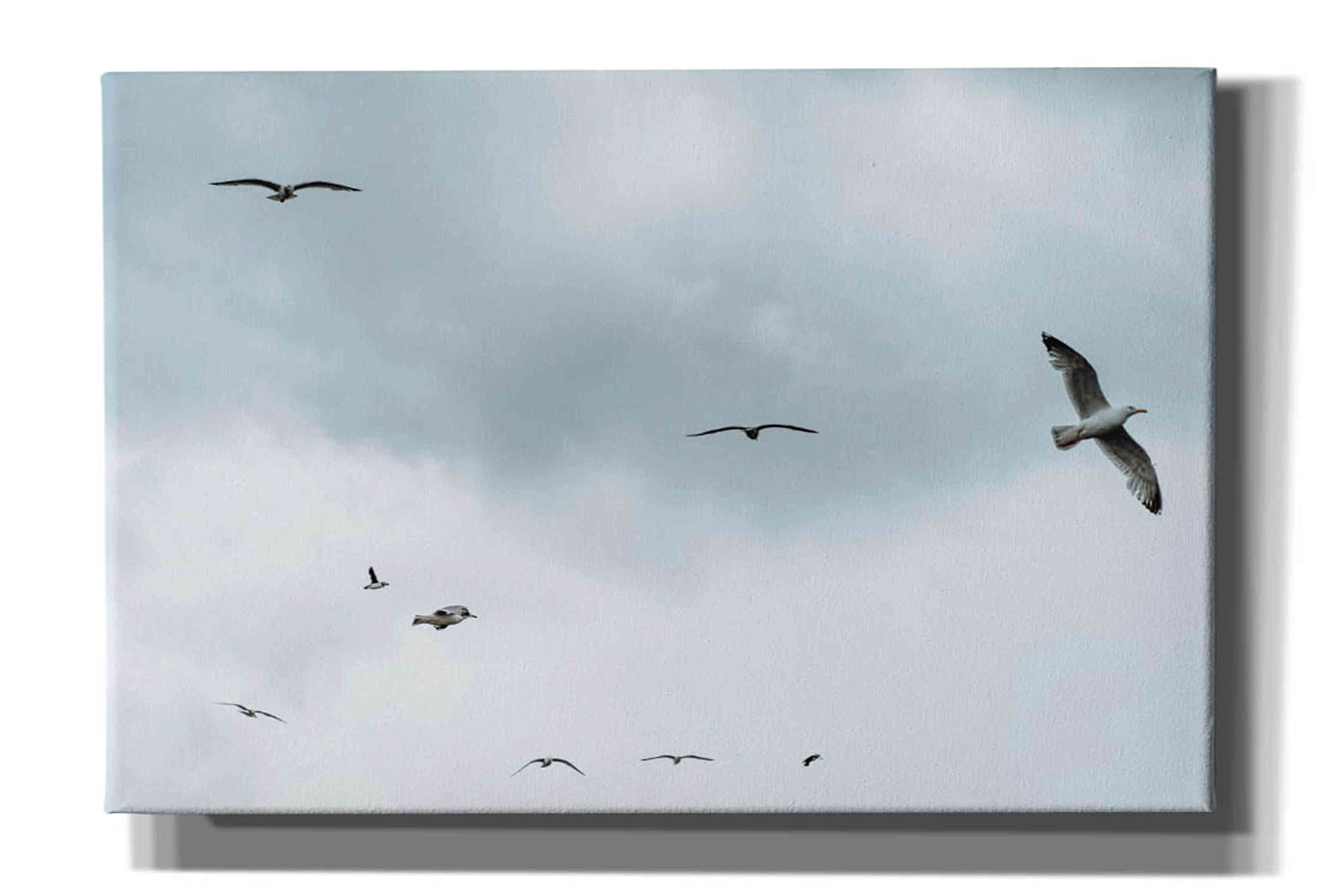 Epic Graffiti 'Sky Patrol' by Epic Portfolio, Giclee Canvas Wall Art, 60