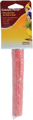 PENN-PLAX Bird-Life - Perca de calcio para pájaros, recorta naturalmente las uñas y el pico, ideal para periquitos, tortolitos, cacatúas y otras