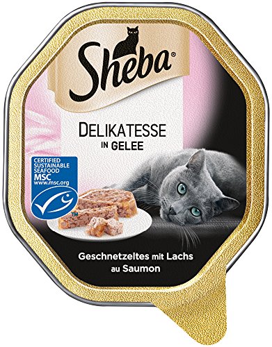 SHEBA Schale Nassfutter für Katzen Delikatesse in Gelee mit Lachs 2 x 11 x 85g (Packung mit 2) – Ansicht 2
