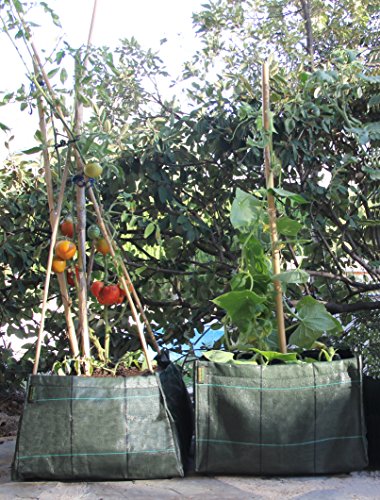 Minihuerto entutorar V454530: Amazon.es: Jardín