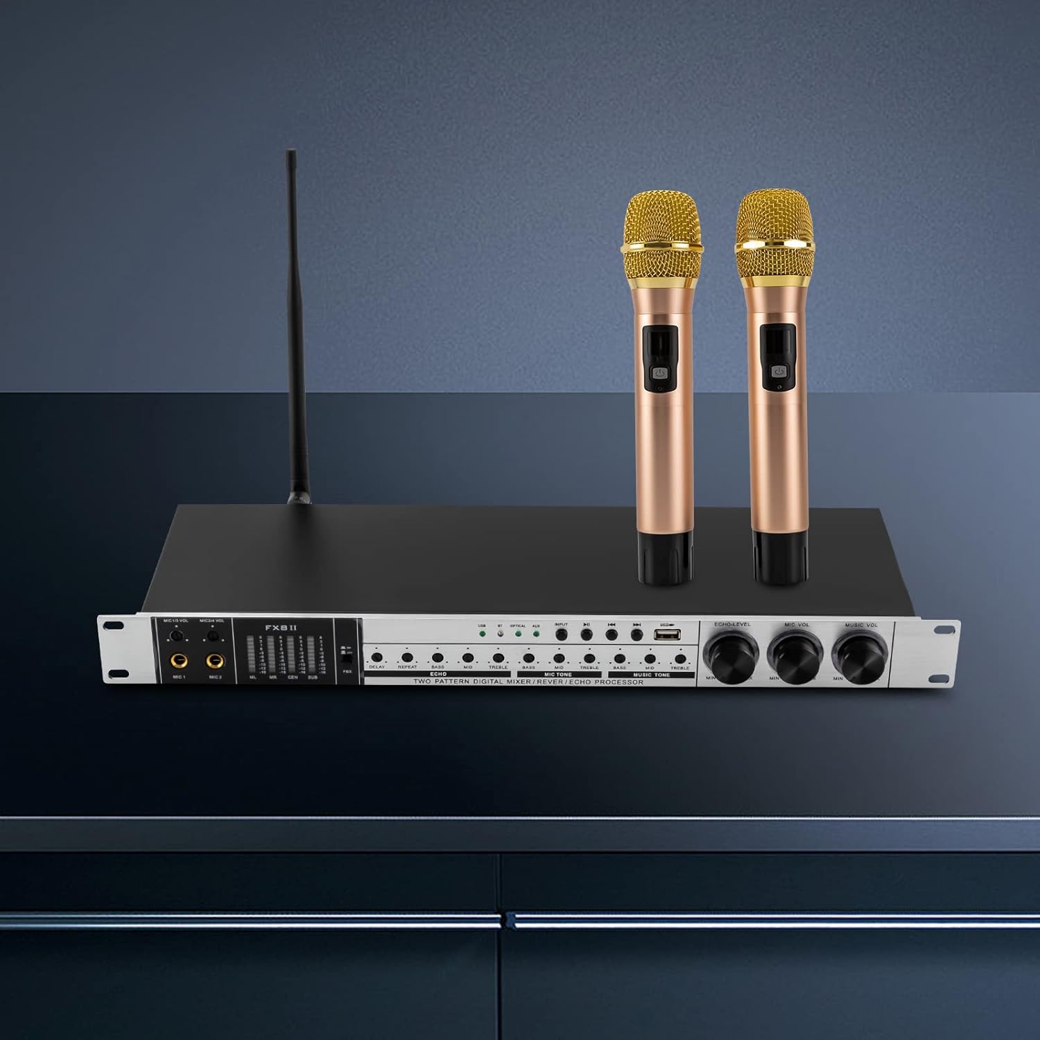 YIYIBYUS Rechargeable Wireless Microphone System Karaoke