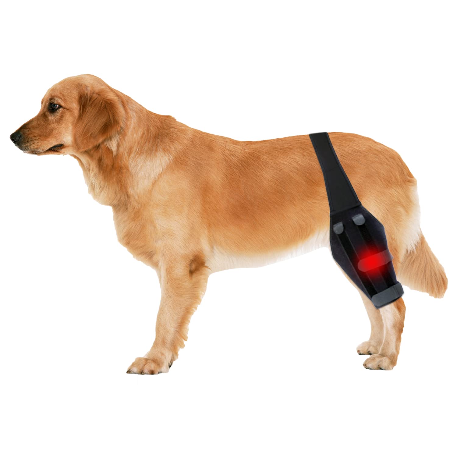 Foclassic Dog Knee Support Dog Rear Leg Support with Cruciate