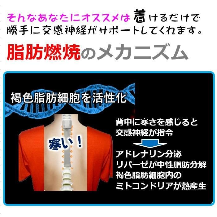 転売 痩せる細胞がサポートするダイエット器具 背中クールタイ 15本セット袋付き Amazon.co.jp: ショッピング 痩せる 中性脂肪 燃焼 背中痩せ
