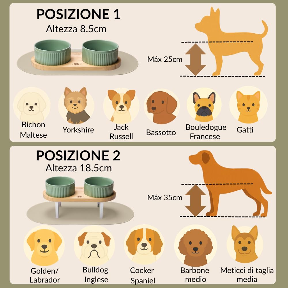 BELMIN Ciotole per Cani Rialzate – Porta Ciotole per Cani Rialzato con Ciotola Cane in Ceramica – 2 Altezze Regolabili – Base in Bambù Naturale – Tappetino Antiscivolo – Ideale anche Ciotola per Gatti