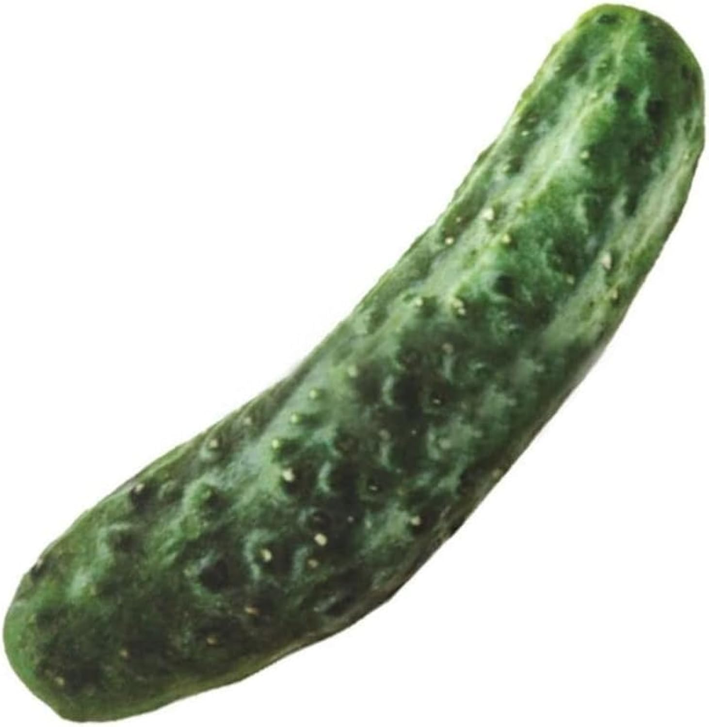 PurYupearl Green Cucumber Food Shape Squeaky, Cute Pet Toys Chew Toys for Small Medium Large Dogs Dog Squeak