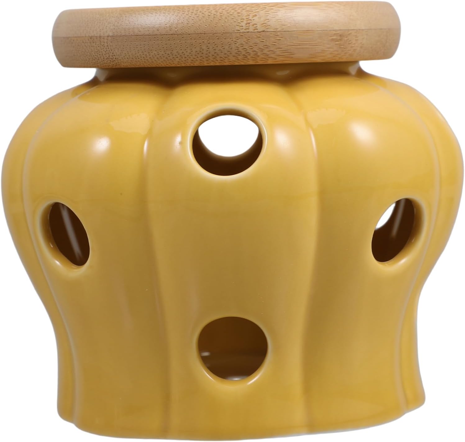 Healifty Compact Garlic Storage Container Ceramic Lid Ginger Garlic Organizer Kitchen Utensil