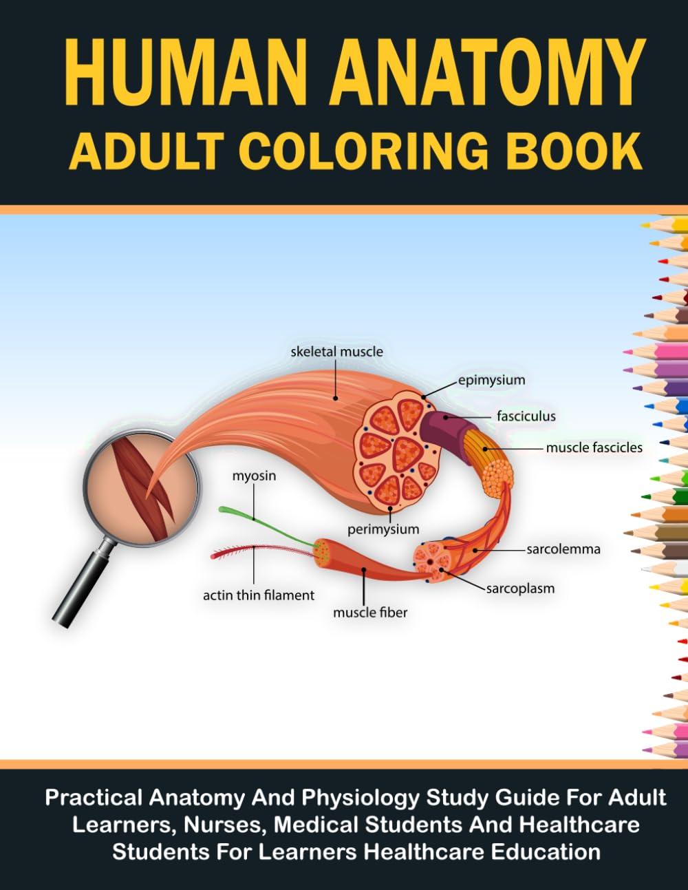 Human Anatomy Adult Coloring Book: Explore the Human Body with Educational Coloring Pages of Skeleton, Muscles, Organs, and Anatomy Diagrams for Adults and Healthcare Learners