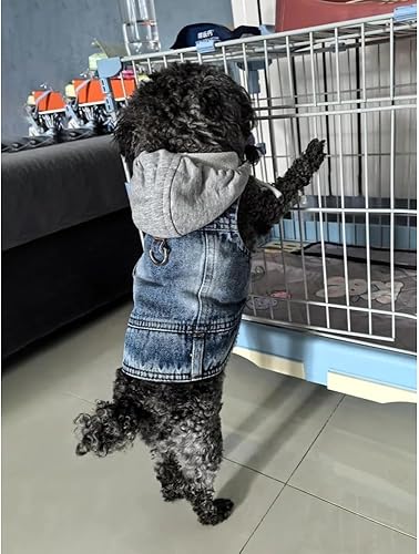 Miniatura 10 de Chaqueta de mezclilla para perro, abrigo de mezclilla azul fresco para niñas pequeñas y medianas y perros, ropa para cachorros, chaleco cómodo con