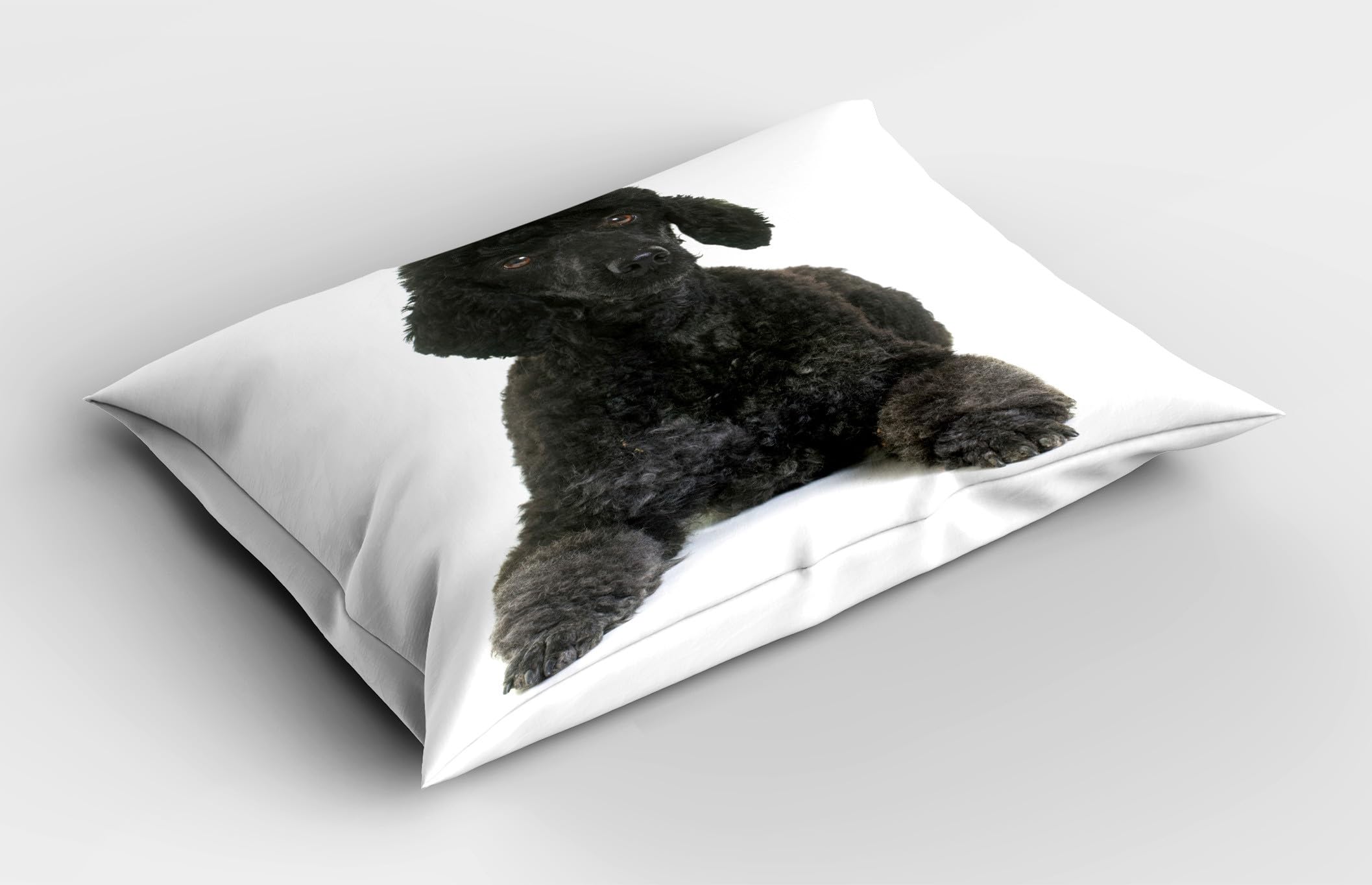 Ambesonne Poodle Pillow Sham Set of 2, Fluffy on a Plain Background Animal Lover's Theme Purebred, Quality Microfiber Bedding Item for All Seasons, 36