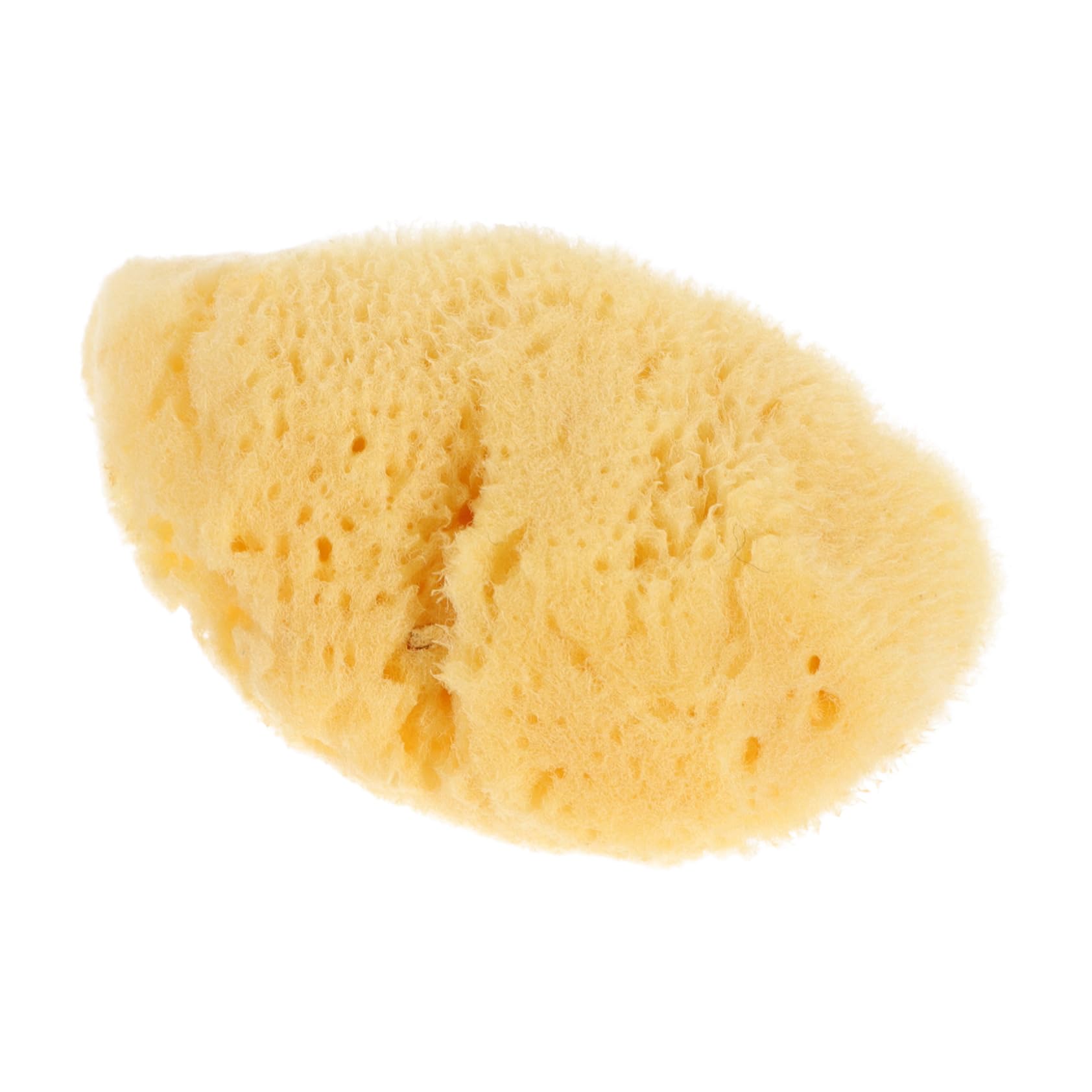 Gadpiparty Art Brush Sponge Random Shape Watercolor DIY Painting Tools for Creative Imagination and Sponges for Unique Designs and Patterns