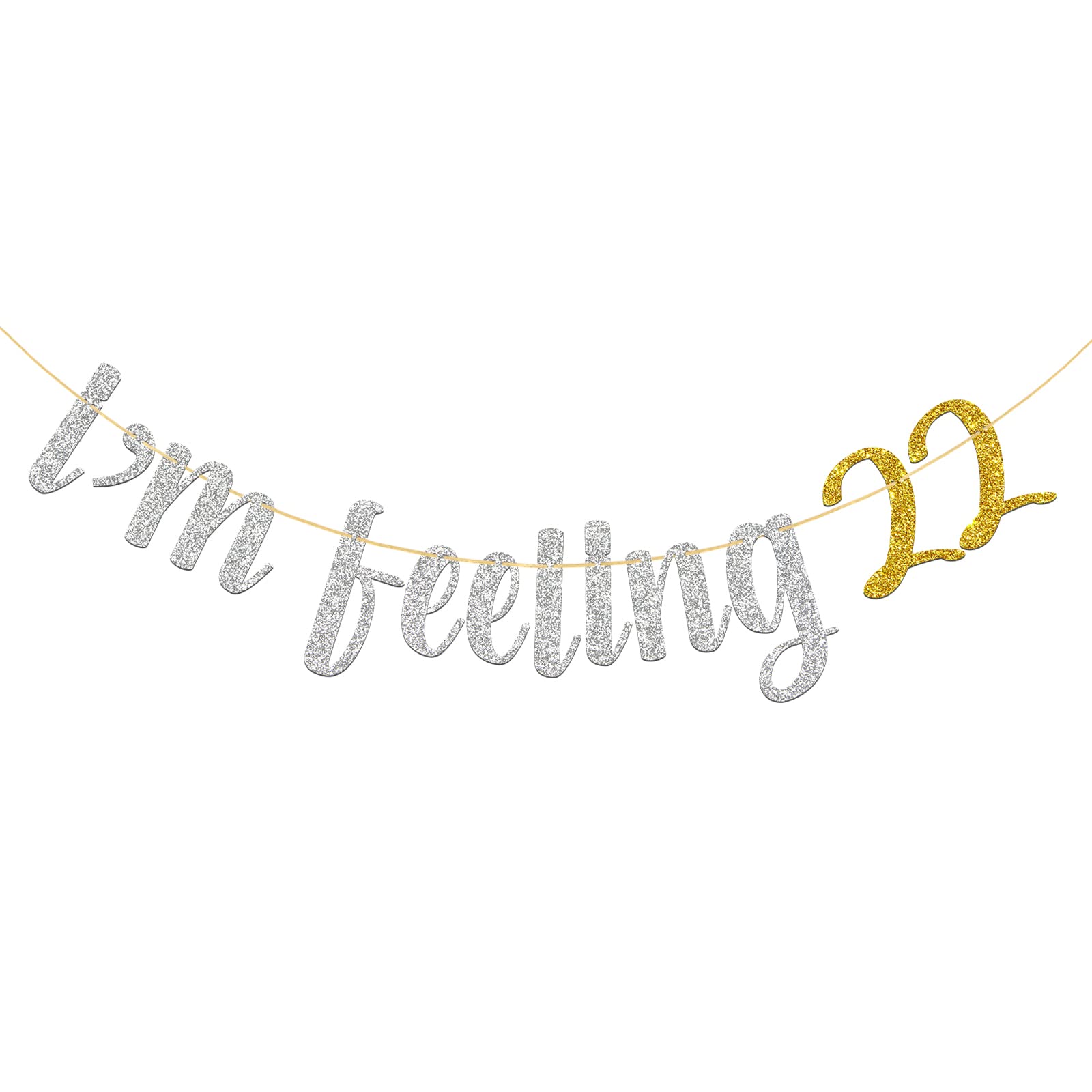 WeBenison I'm Feeling 22 Banner, 22nd Birthday Banner/Cheers to 22 Years Party Supplies Silver Glitter