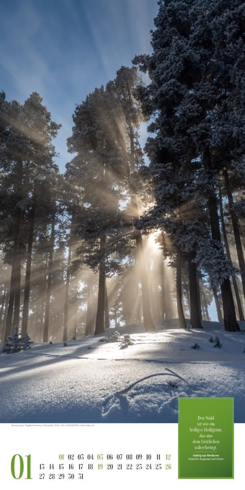 Mythos Wald Kalender 2025, Wandkalender im Hochformat (33x66 cm) - Naturkalender / Literaturkalender mit Zitaten