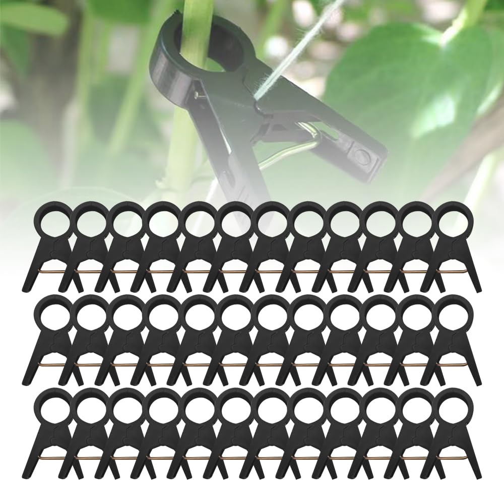 Pflanzenstütz-Clips, wiederverwendbare Gartenclips, gesicherte Kunststoff-Pflanzenclips für Kletterpflanzen, Outdoor, Pflanzenbefestigungsclips, Tomatenklammern für Saitengitter, Rankenclips,