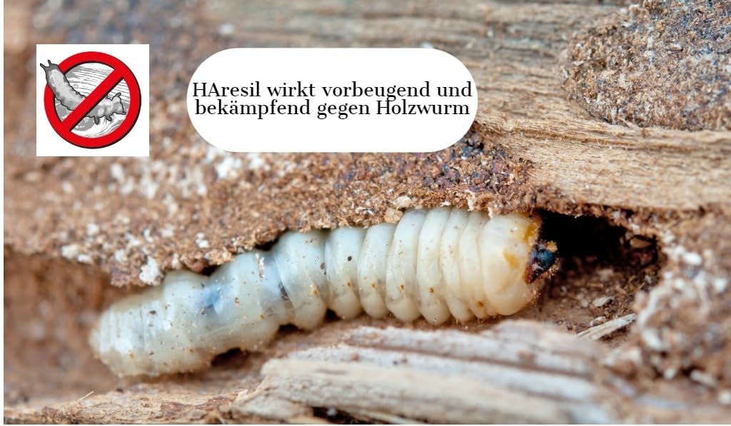 Biologischer Holzschutz HAresil Basic 20l Holzschutzlasur zum Vorbeugen und Bekämpfen von Pilze, Holzwurm, Holzschädlinge, Holzschutz für Innen und Außen