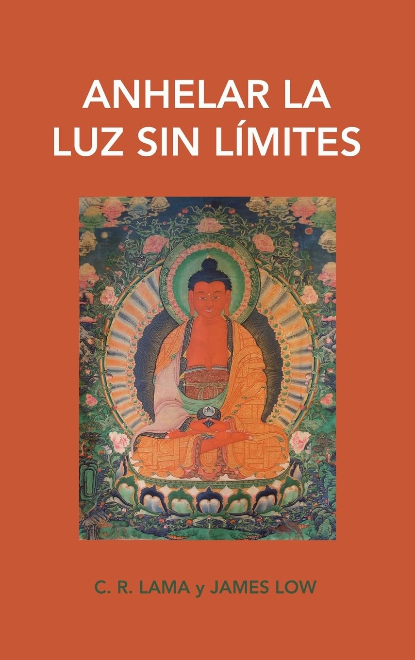 Anhelar la luz sin límites: dejar entrar la luz del amor de Buda Amitaba
