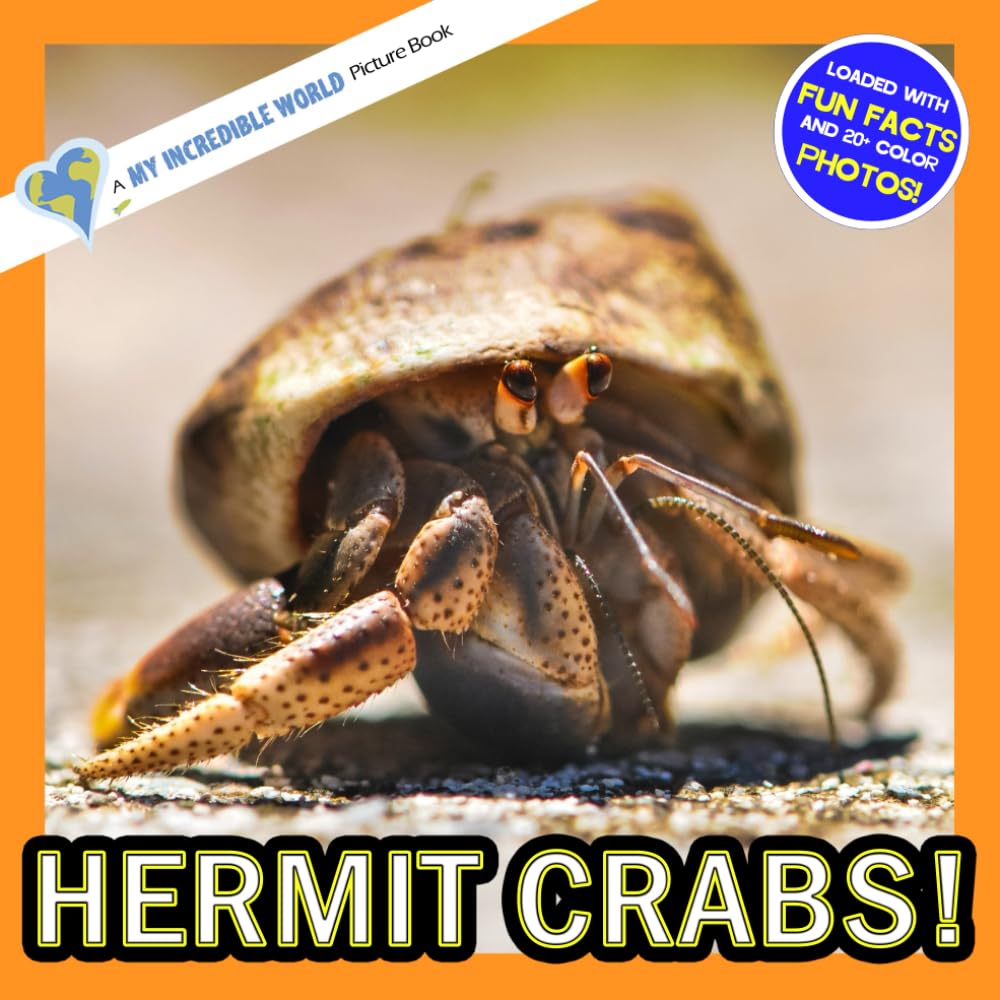 Hermit Crabs!: A My Incredible World Picture Book for Children (My Incredible World: Nature and Animal Picture Books for Children)