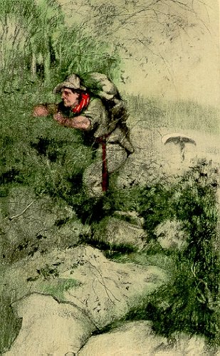 The forest B000859UMG Book Cover