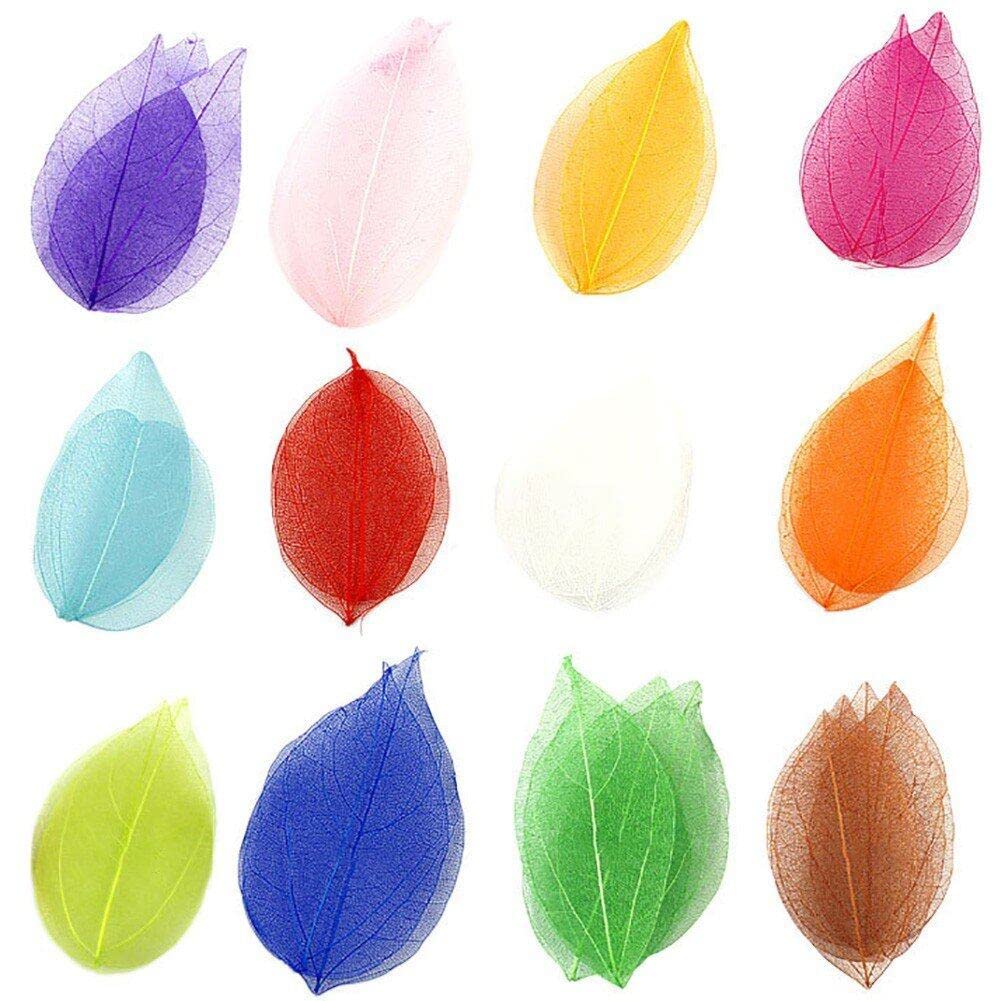 Skeleton Leaves Rubber Tree Natural Scrapbook Craft 36pcs/Set Card Wedding Gift Large Leaves for Wedding