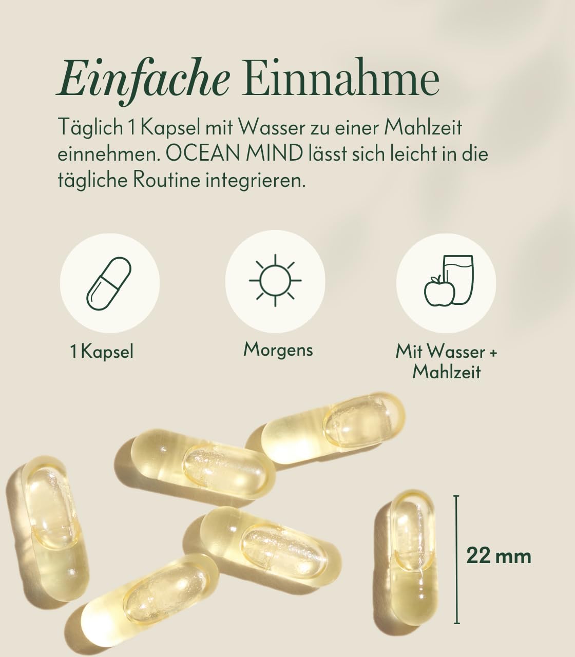 Ogaenics OCEAN MIND Bio Omega 3 DHA Kapseln aus Algen – 250 mg DHA pro Kapsel – veganes Algenöl als Alternative zu Fischöl – für Gehirn, Sehkraft, Schwangerschaft und Stillzeit - 60 Kapseln