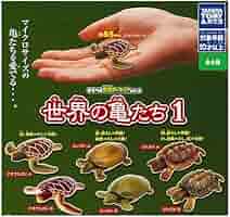 亀のフィギュア 61kr1psVOiL._AC_SY200_QL15_.jpg