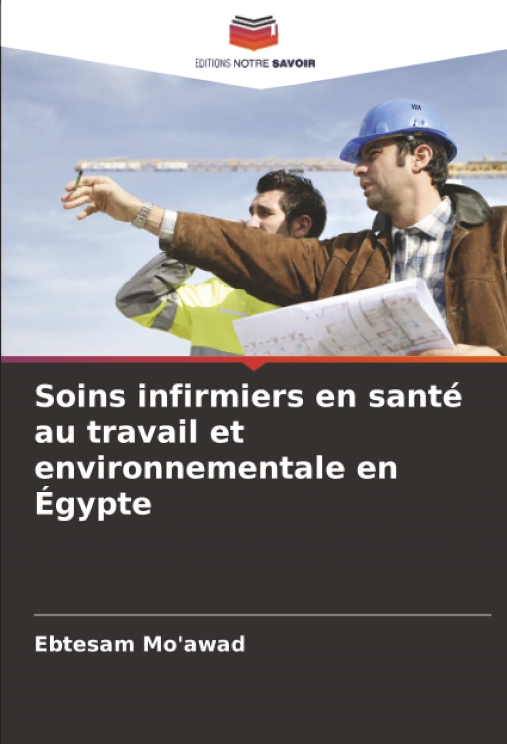 Soins infirmiers en santé au travail et environnementale en Égypte
