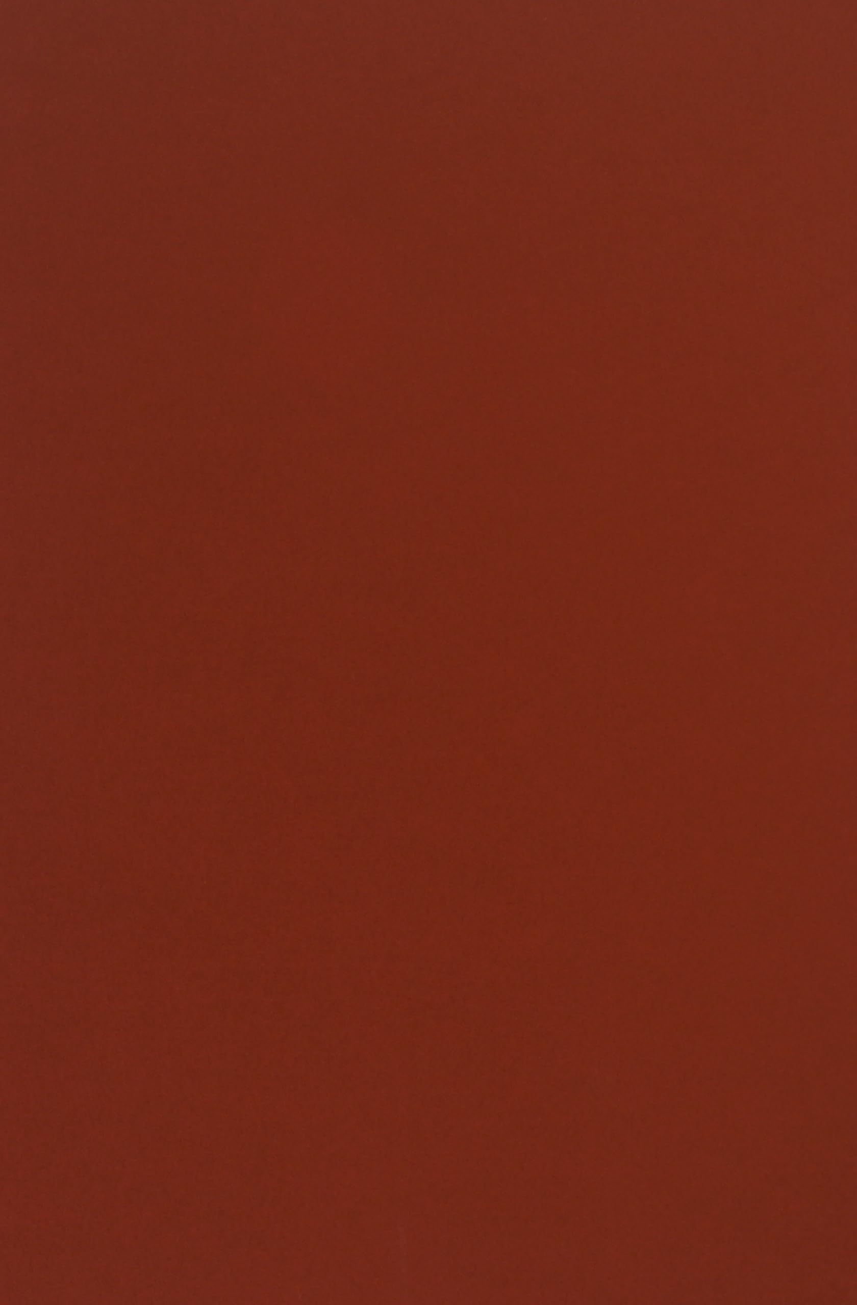 Netuno 20 Sheets cardstock Burano A4 Indian red Rosso Indiano 250 g/m²