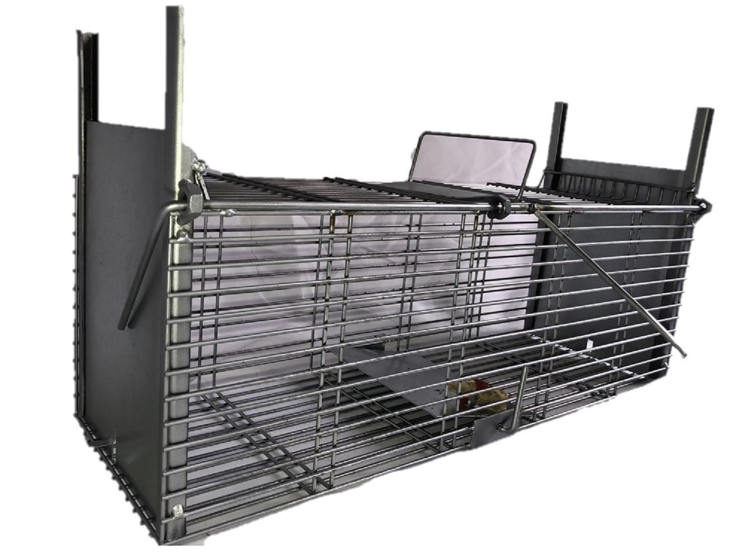 Cage piège Rats mulots