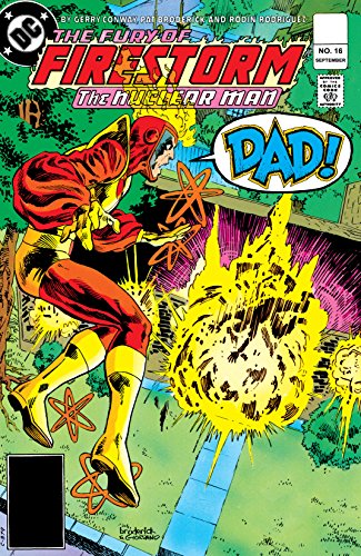 Cover of The Fury of Firestorm (1982-1990) #16