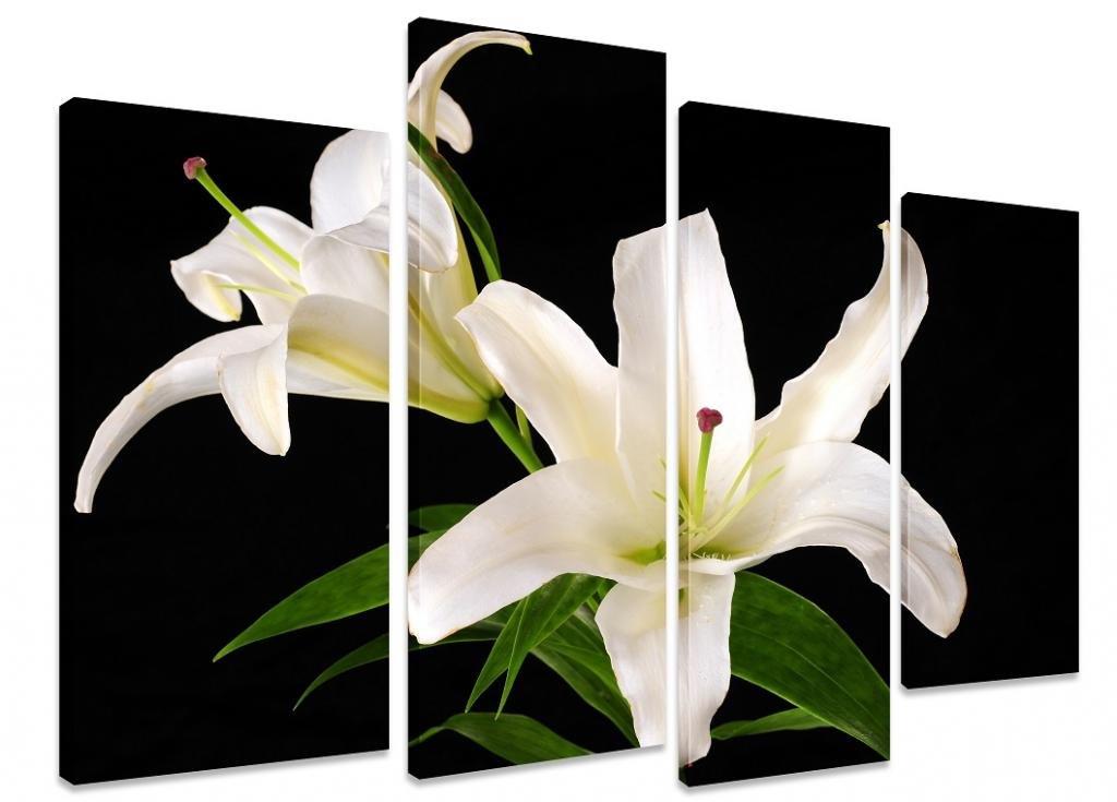 Art_depot_outlet White Floral Canvas Wall Art Print – Botanical Flower Artwork – Ready To Hang