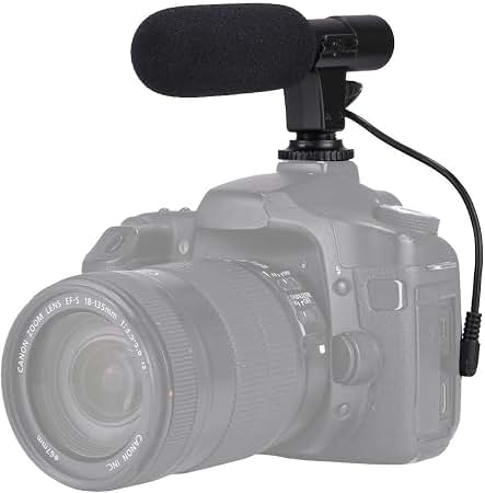 Amazon.com: Canon SM-V1 5.1 Channel Surround Microphone for S and