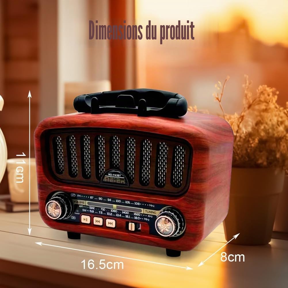 Radio rétro AM/FM/SW avec Bluetooth 5.0, petite batterie de 1800 mAh, cuisine et valise avec haut-parleur de 5 W, prise en charge USB/TF/AUX