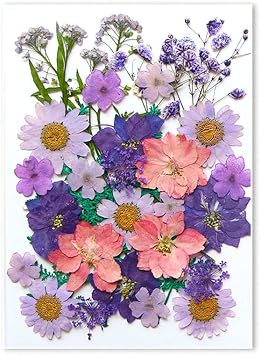 Dried Flower, Dried Flower Bookmark Craft, Clear Drift Bottle Bookmark, Flower Page Clips Bookmarks, Handmade DIY Transparent Flower PageDried Flowers B, 1 Set