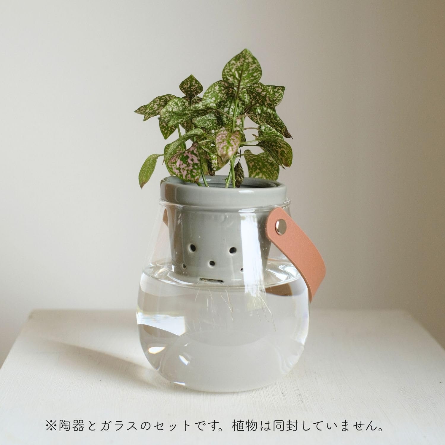 ハイジステンレスポットです。ミントンの花瓶と小物２点が追加されます。 Amazon.co.jp: onajimi 根っこさん とって付きガラス花瓶セット S