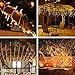 koopower String Lights, 100 LED Indoor Fairy Lights with [Remote]&[Timer] on 36ft Clear String for Bedroom, Patio, Garden, Gate, Yard, Party, Wedding (8 Modes, Dimmable, Low Voltage Plug, Warm White)