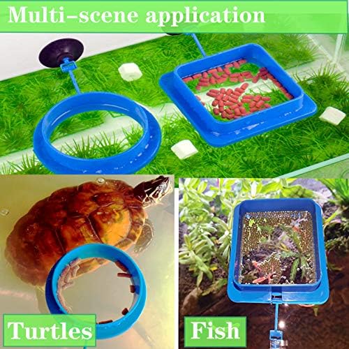 Top 10 Best automatic turtle feeder for aquarium DecisionDesk